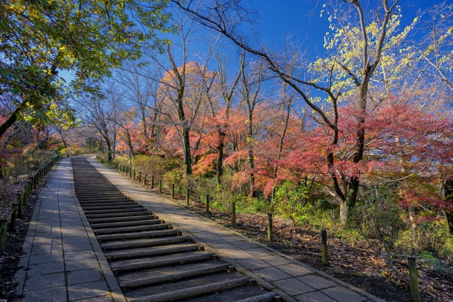Koboyama Park – 弘法山公園