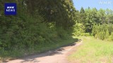 山形 酒田 男性死亡はクマ被害と判明 県内では1988年以来