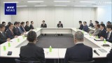 食料品の消費税減税 事業者負担など指摘も 与党 懸念払拭図る
