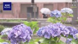 九州北部 中国地方 近畿が梅雨入り 気象庁が発表