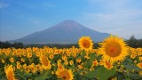 海外「競争の排除」日本で本格インド料理店が次々と消えている原因に海外興味津々！（海外の反応）